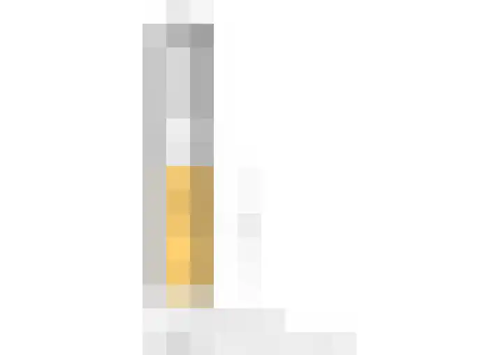 Azaleastraat 29 C Rotterdam thumbnail 41