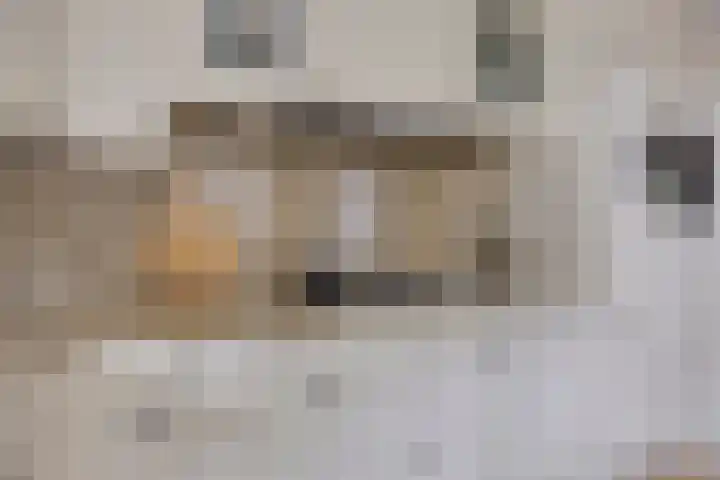 Azaleastraat 29 Oosterhout thumbnail 12