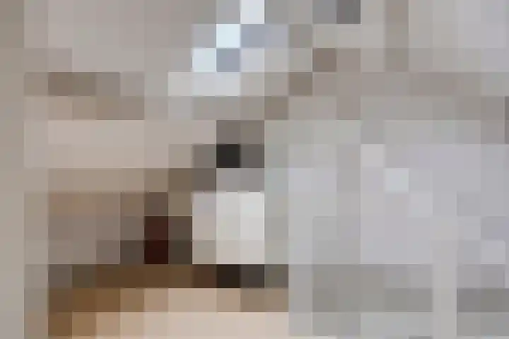 Azaleastraat 29 Oosterhout thumbnail 25