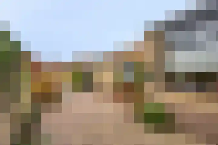 Azaleastraat 29 Oosterhout thumbnail 26