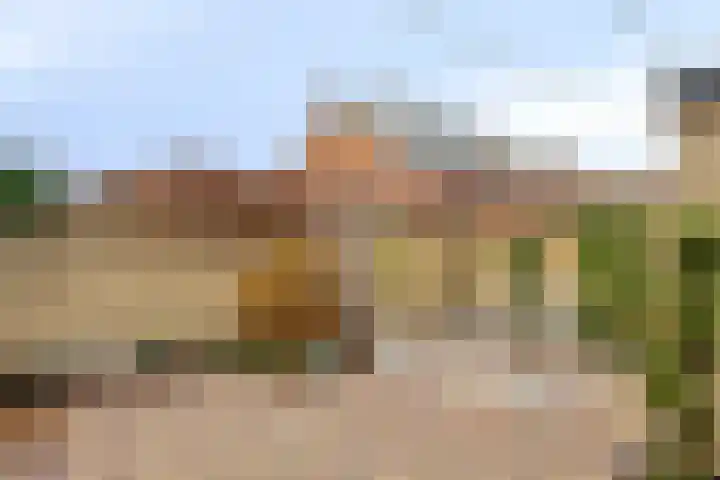 Azaleastraat 29 Oosterhout thumbnail 27