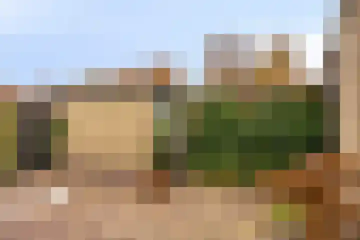 Azaleastraat 29 Oosterhout thumbnail 28