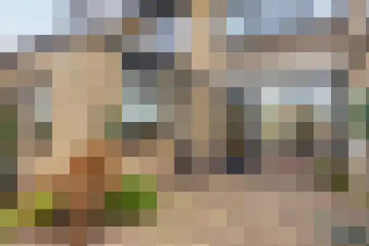 Azaleastraat 29 Oosterhout thumbnail 29