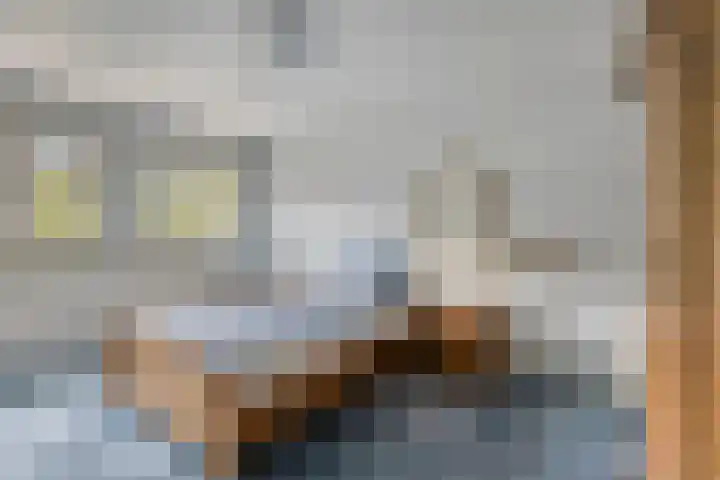 Azaleastraat 29 Venlo thumbnail 18