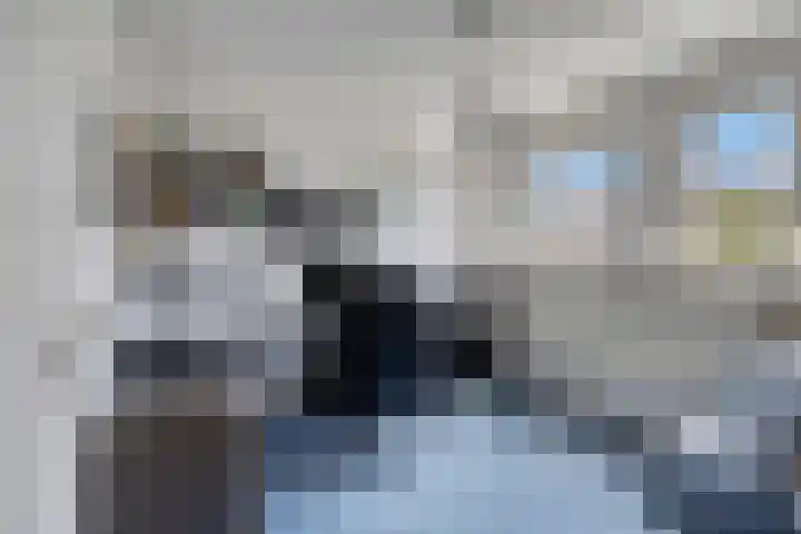 Azaleastraat 29 Venlo thumbnail 22