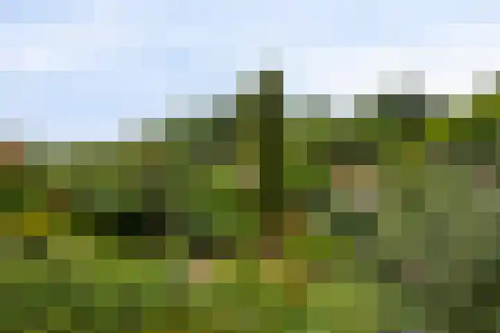 Azaleastraat 29 Venlo thumbnail 34
