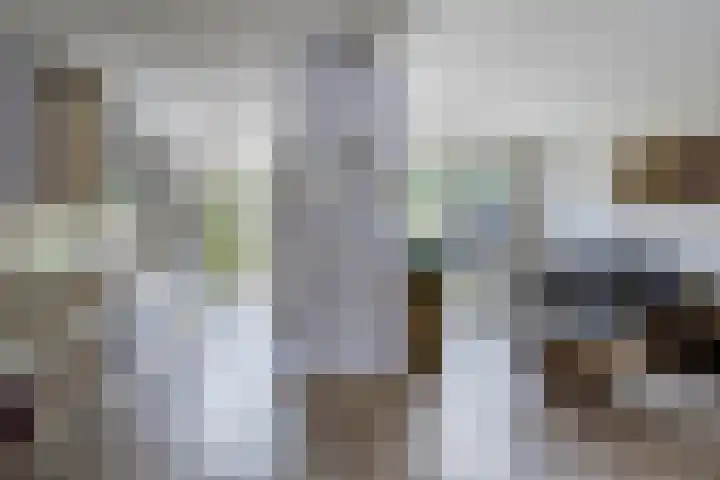Azaleastraat 29 Venlo thumbnail 6