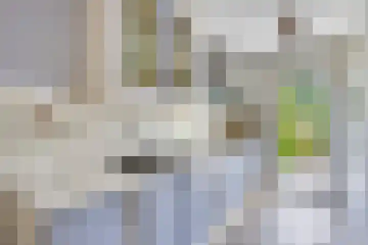 Azaleastraat 29 Venlo thumbnail 8