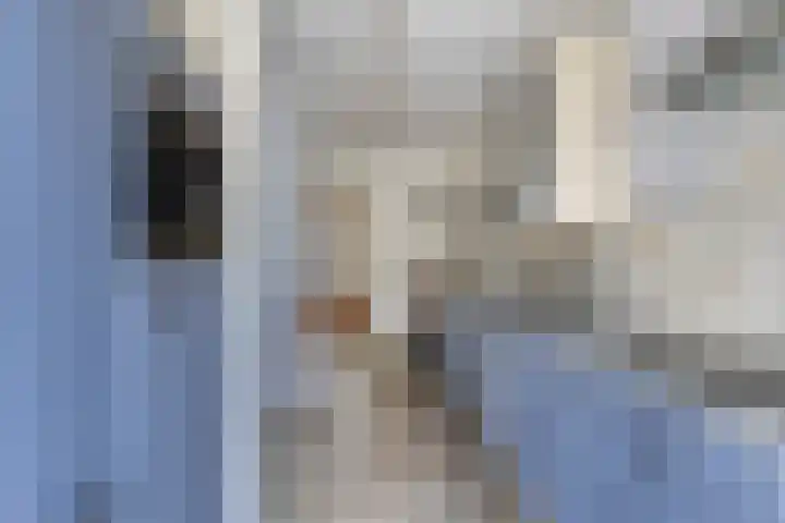Azaleastraat 29 Venlo thumbnail 9