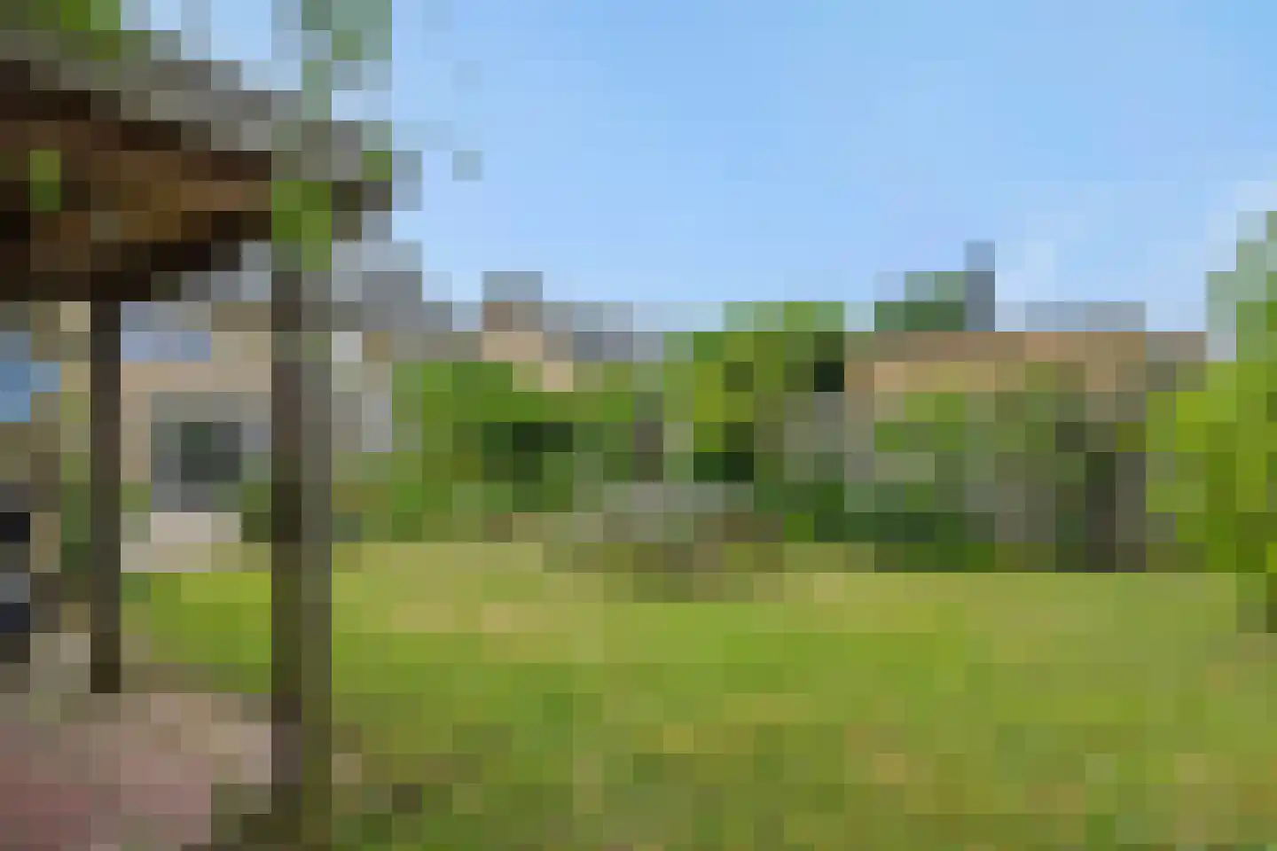 Azaleastraat 3 Rosmalen thumbnail 30