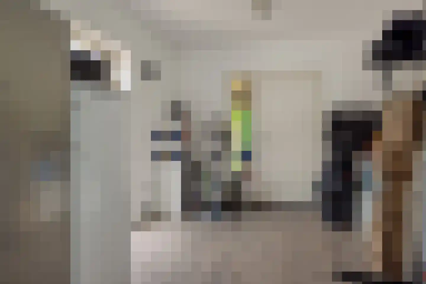 Azaleastraat 3 Rosmalen thumbnail 33