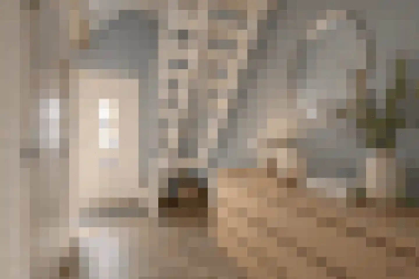 Azaleastraat 3 Rosmalen thumbnail 4