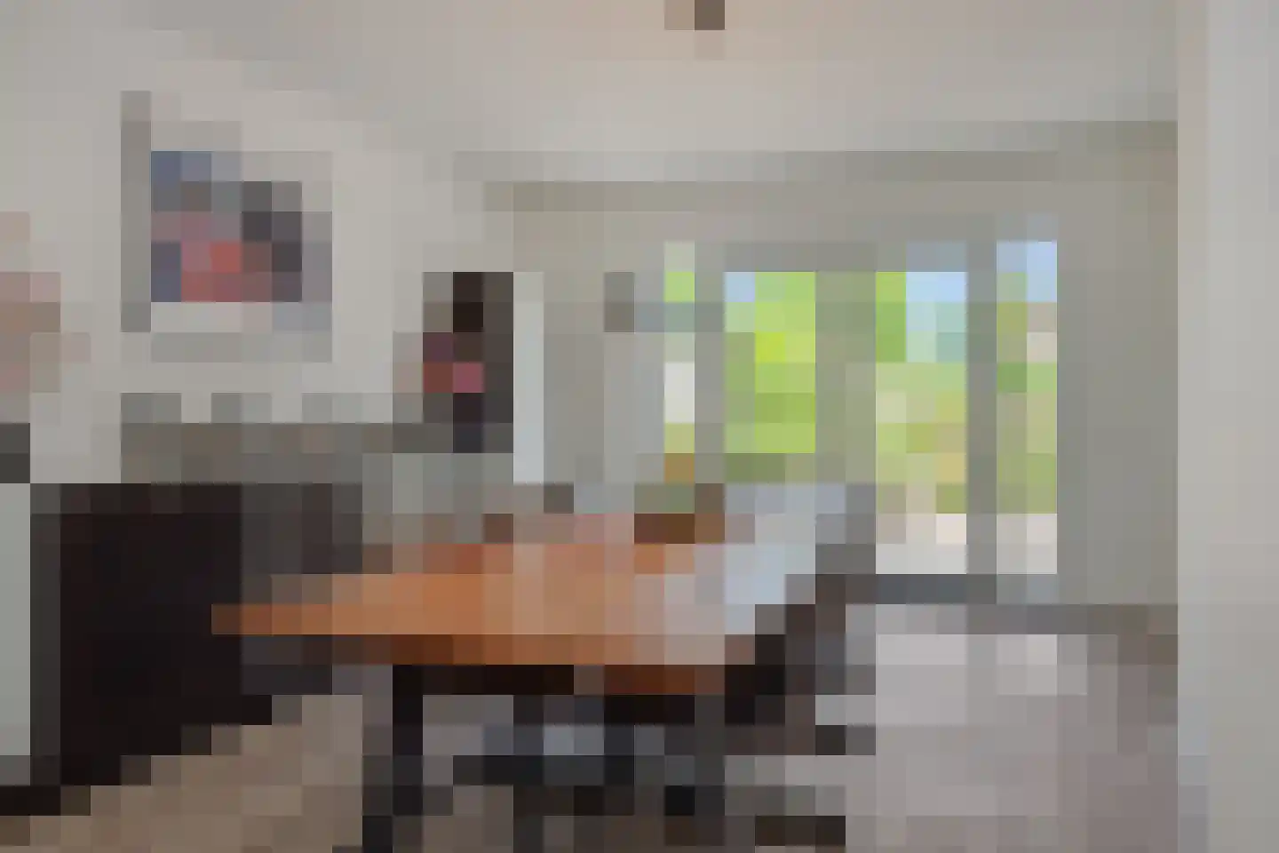 Azaleastraat 3 Rosmalen thumbnail 9