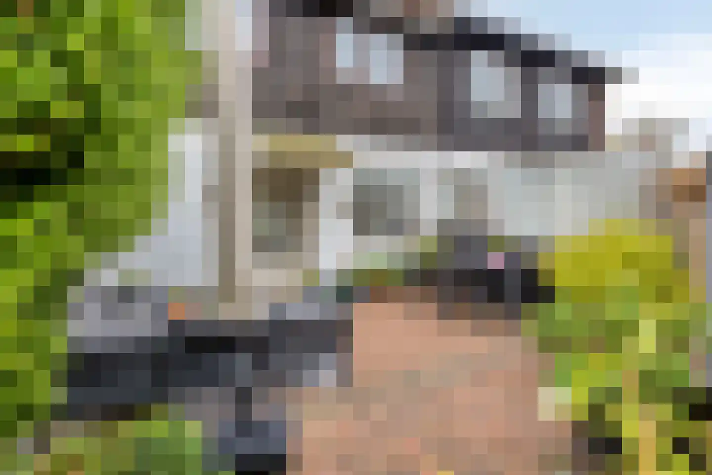 Azaleastraat 30 Aalsmeer thumbnail 19