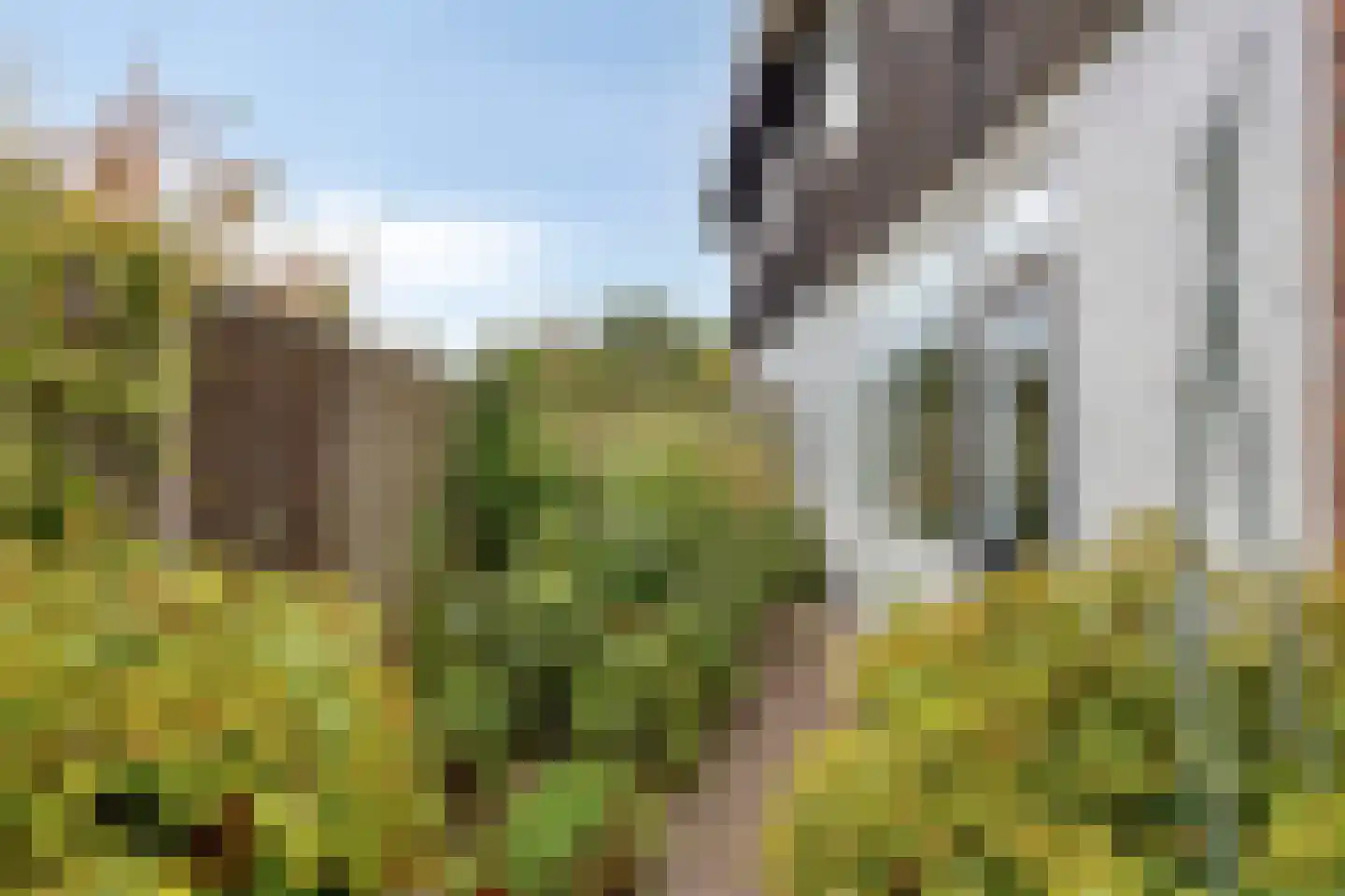 Azaleastraat 30 Aalsmeer thumbnail 22