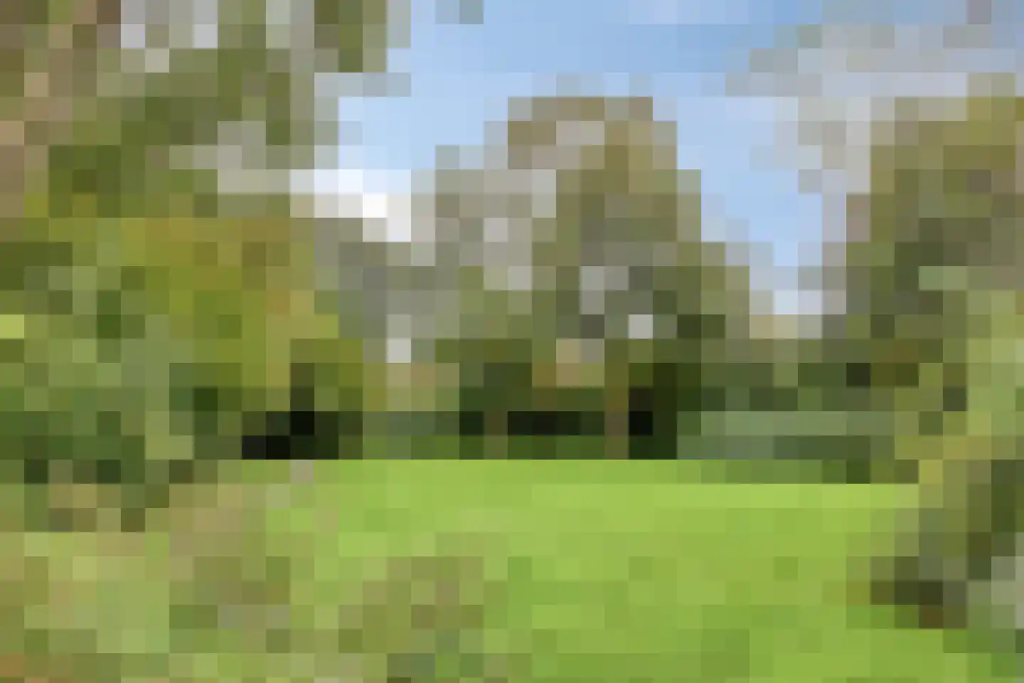 Azaleastraat 30 Aalsmeer thumbnail 23