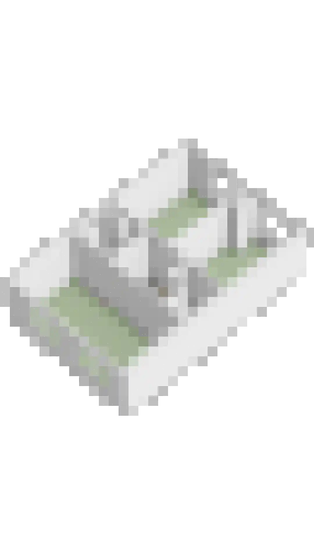Azaleastraat 30 Aalsmeer thumbnail 29