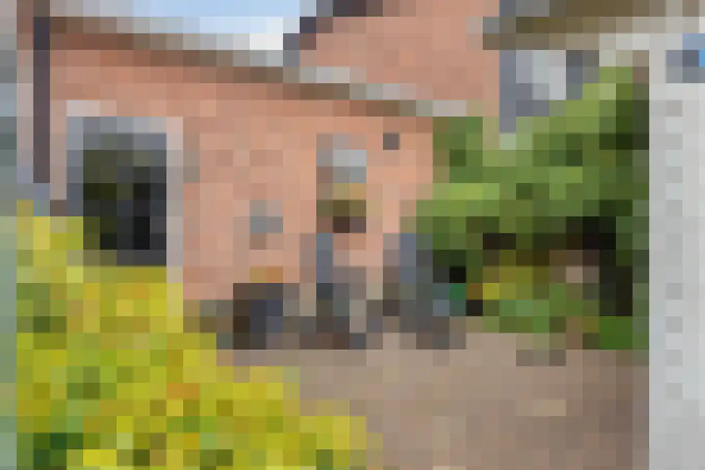 Azaleastraat 30 Aalsmeer thumbnail 5