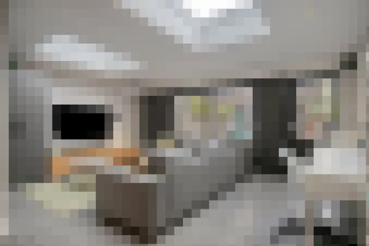 Azaleastraat 30 Sint-Michielsgestel thumbnail 10