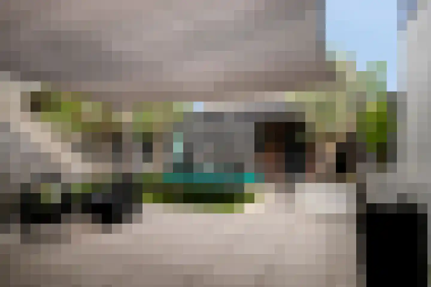 Azaleastraat 30 Sint-Michielsgestel thumbnail 24