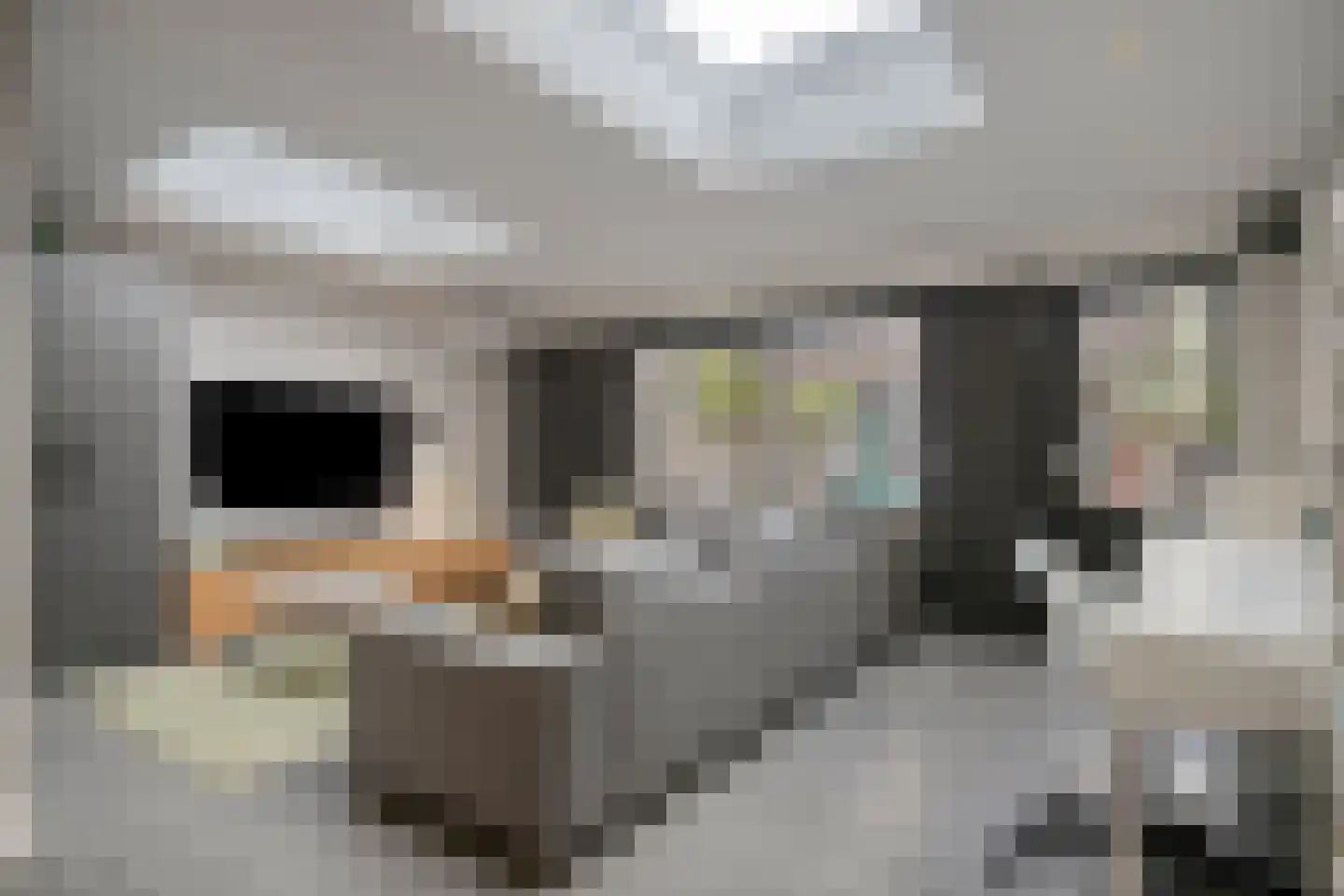 Azaleastraat 30 Sint-Michielsgestel thumbnail 7