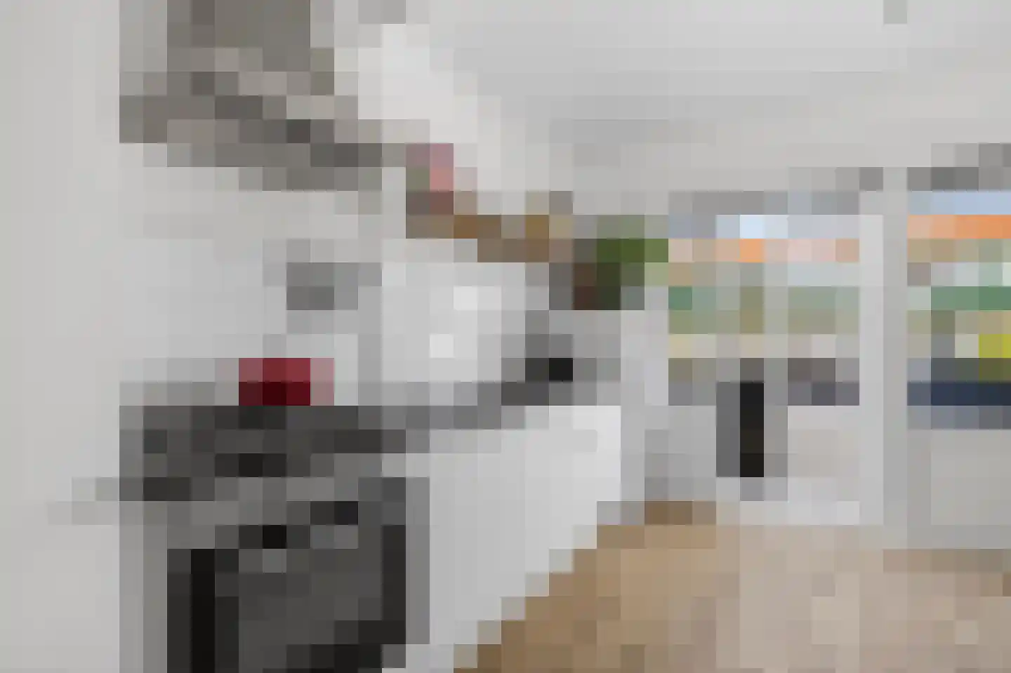 Azaleastraat 32 Amsterdam thumbnail 8