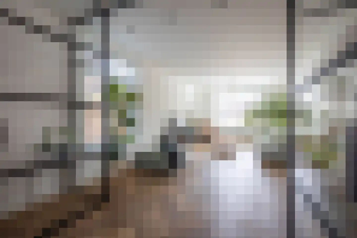 Azaleastraat 36 Duivendrecht thumbnail 11