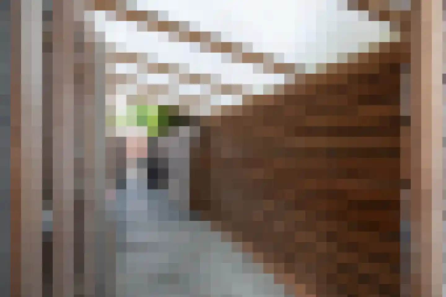Azaleastraat 36 Duivendrecht thumbnail 35