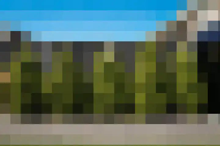 Azaleastraat 36 Leerdam thumbnail 18