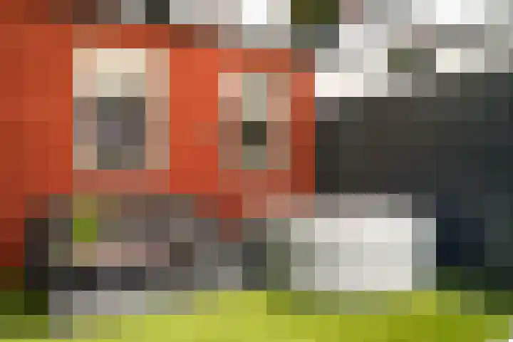 Azaleastraat 36 Leerdam thumbnail 20