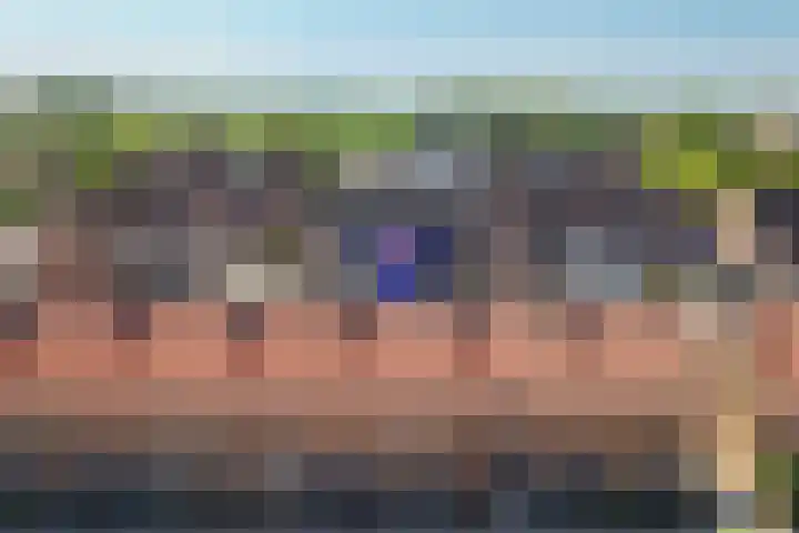 Azaleastraat 36 Leerdam thumbnail 30