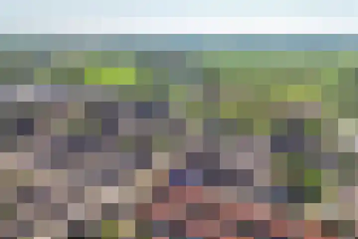 Azaleastraat 36 Leerdam thumbnail 6