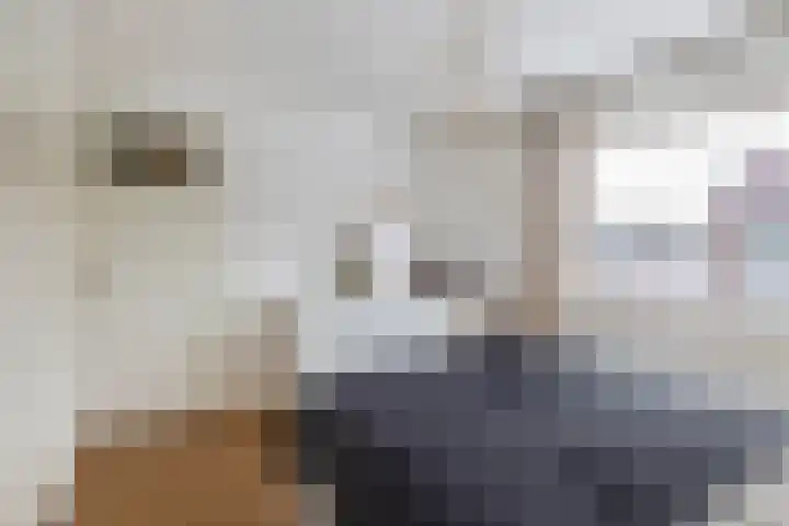 Azaleastraat 36 Winschoten thumbnail 14