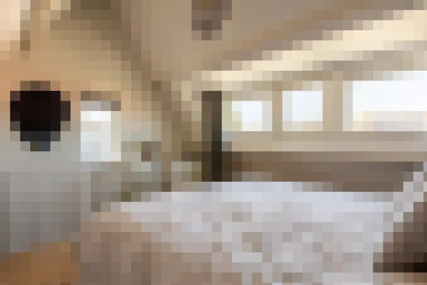 Azaleastraat 37 A Rotterdam thumbnail 24