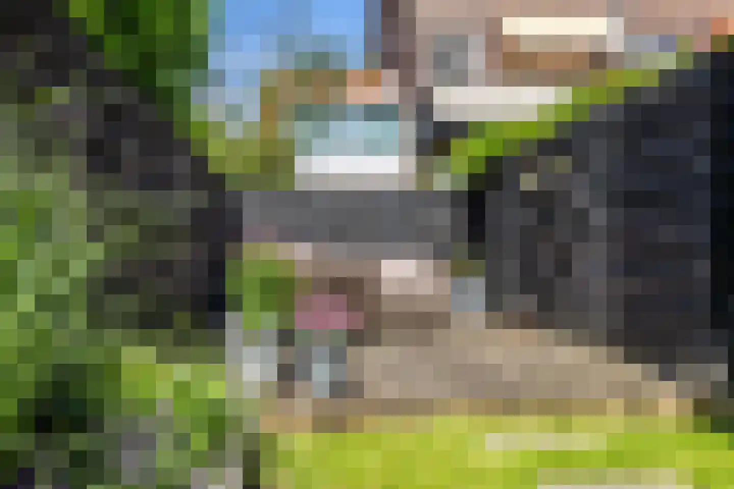 Azaleastraat 37 A Rotterdam thumbnail 34