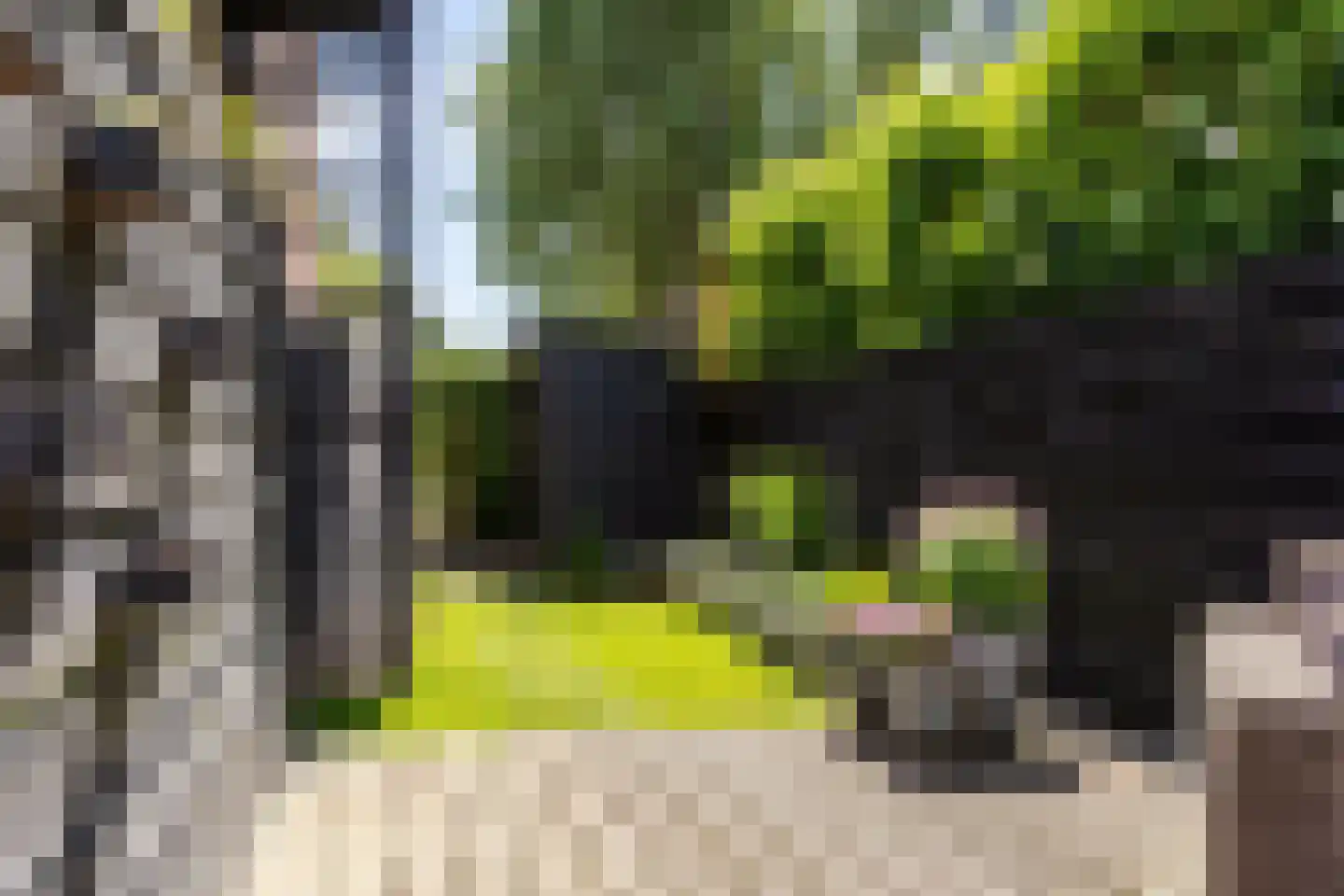 Azaleastraat 37 A Rotterdam thumbnail 36