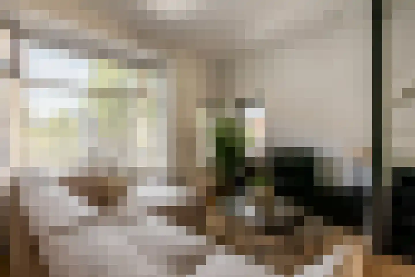 Azaleastraat 37 A Rotterdam thumbnail 7