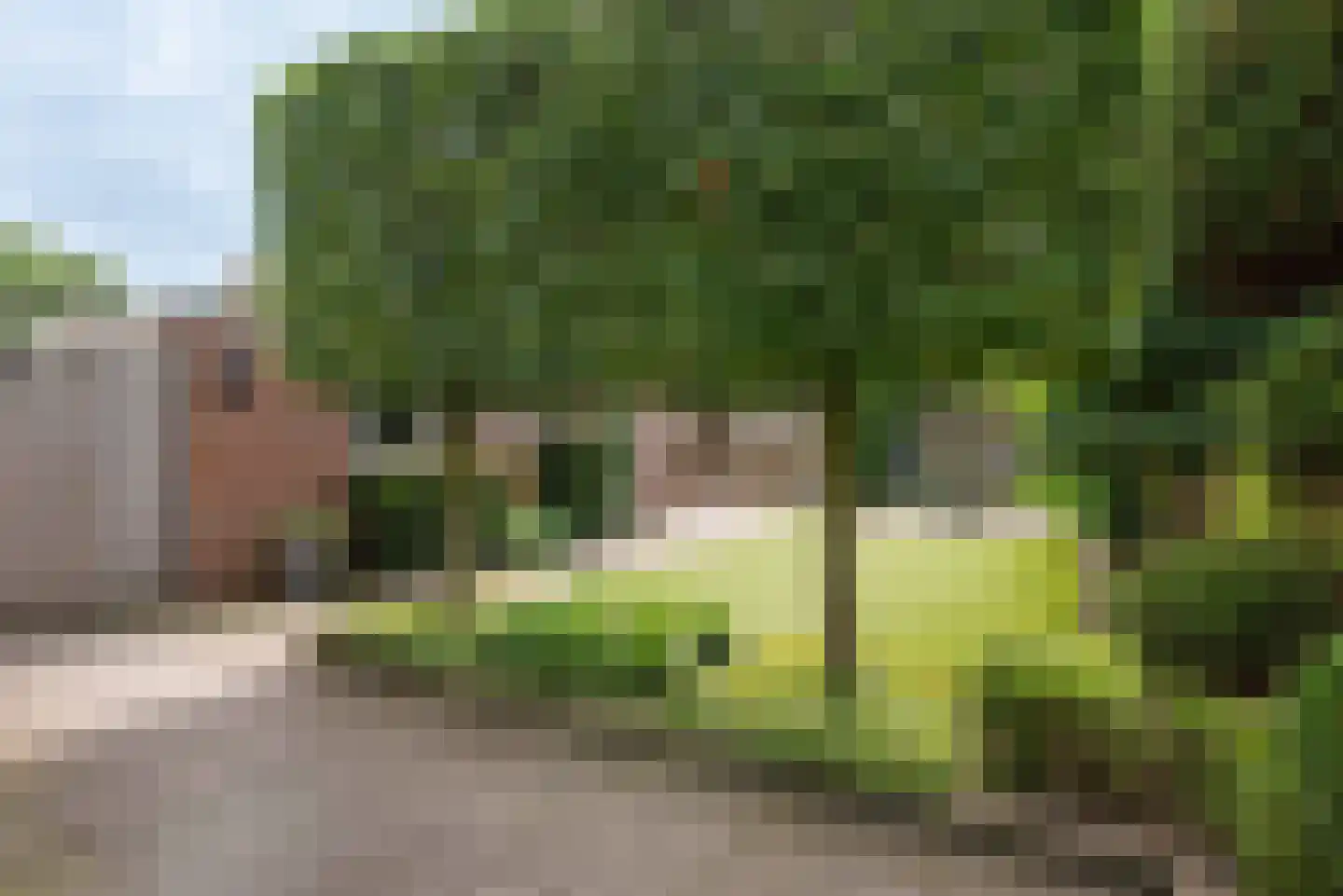 Azaleastraat 38 Sint-Oedenrode thumbnail 42