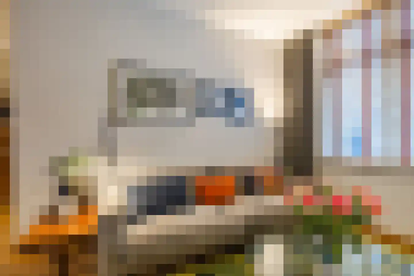 Azaleastraat 4 Eindhoven thumbnail 17