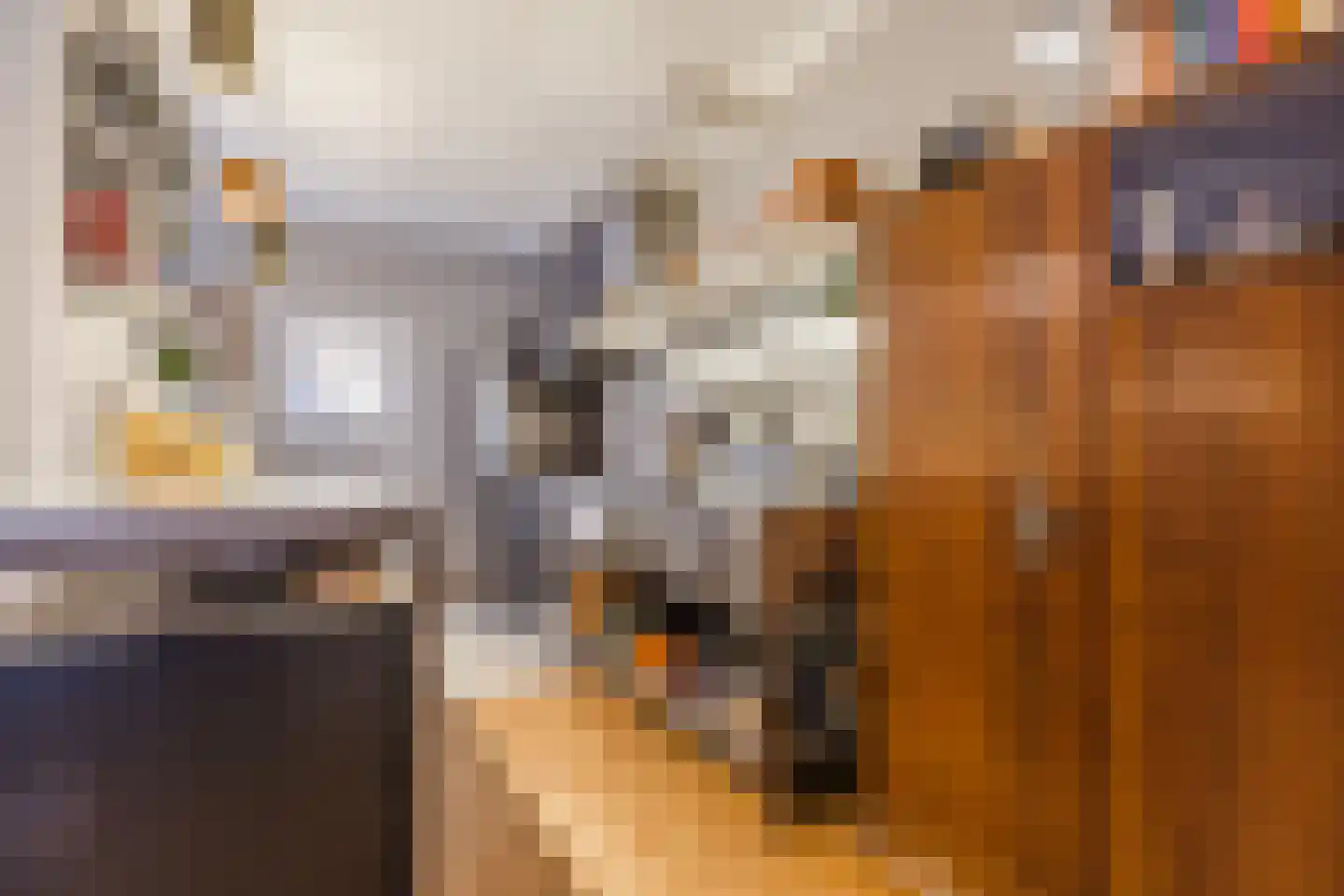 Azaleastraat 4 Eindhoven thumbnail 30