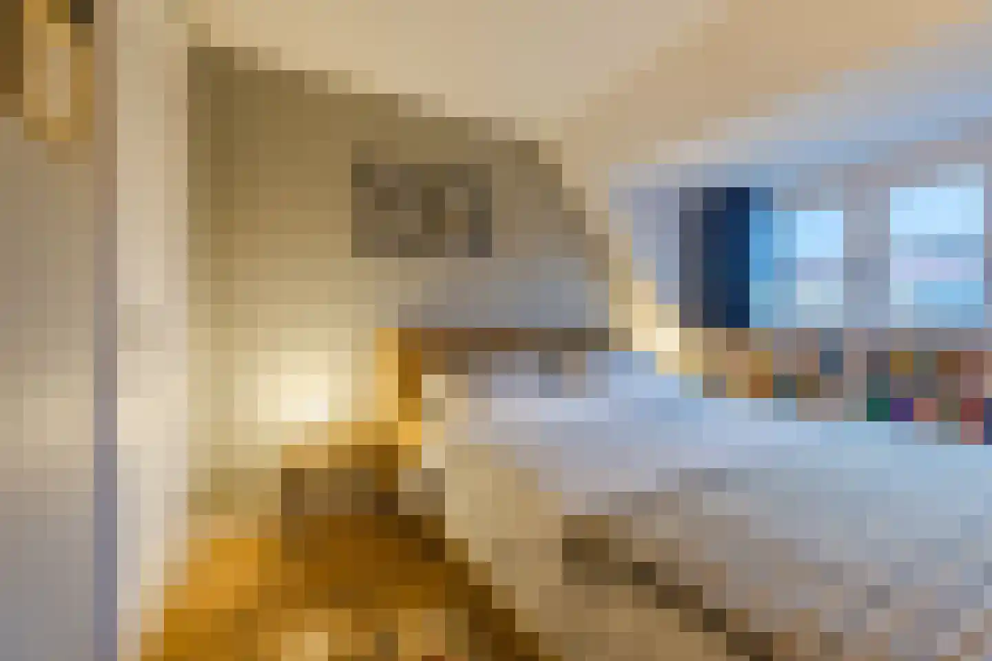 Azaleastraat 4 Eindhoven thumbnail 34