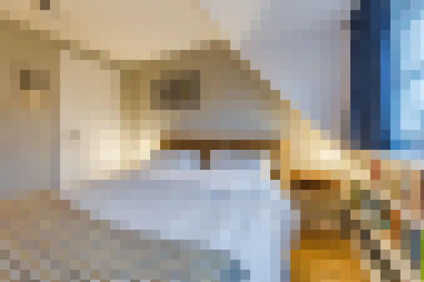 Azaleastraat 4 Eindhoven thumbnail 35