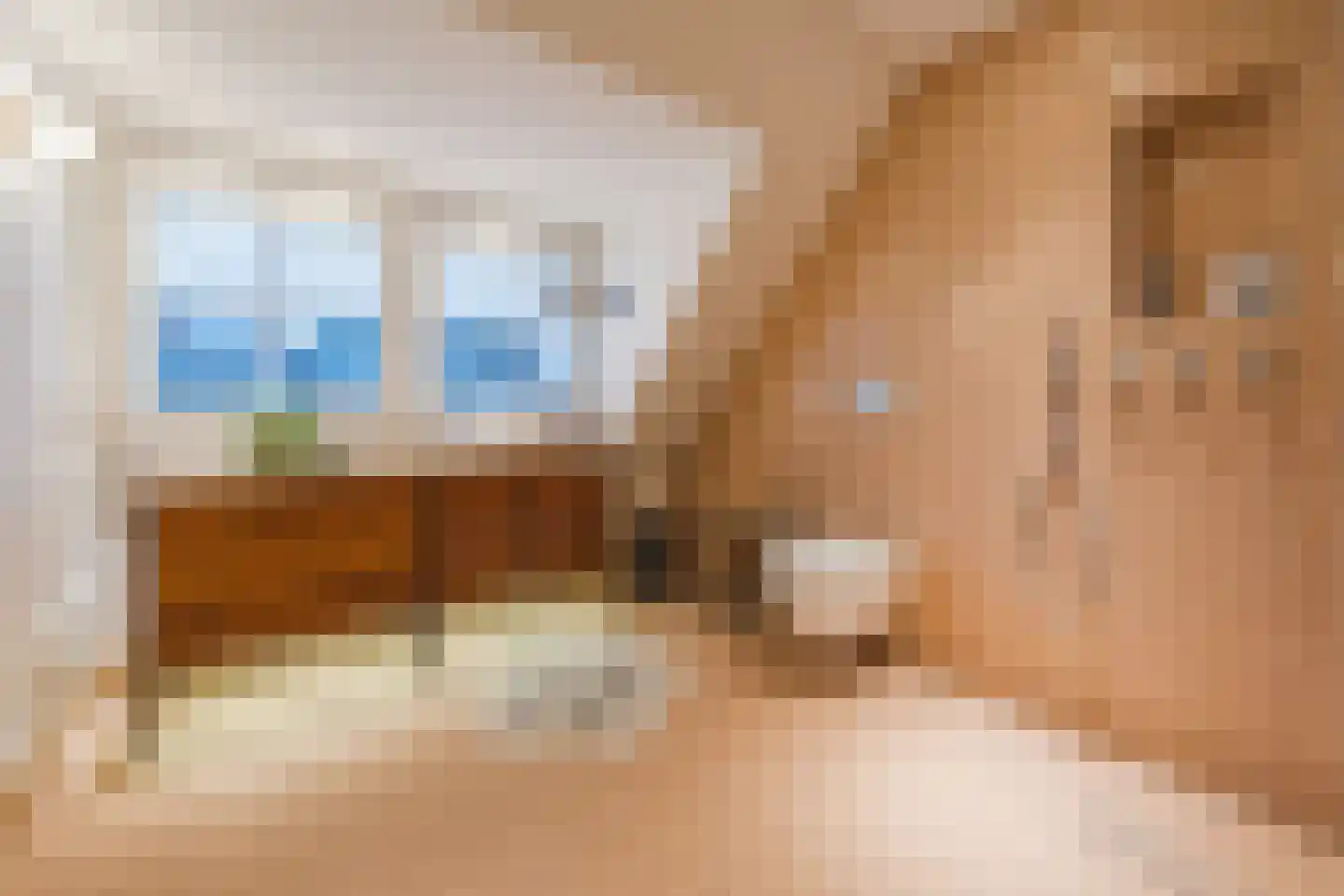 Azaleastraat 4 Eindhoven thumbnail 41