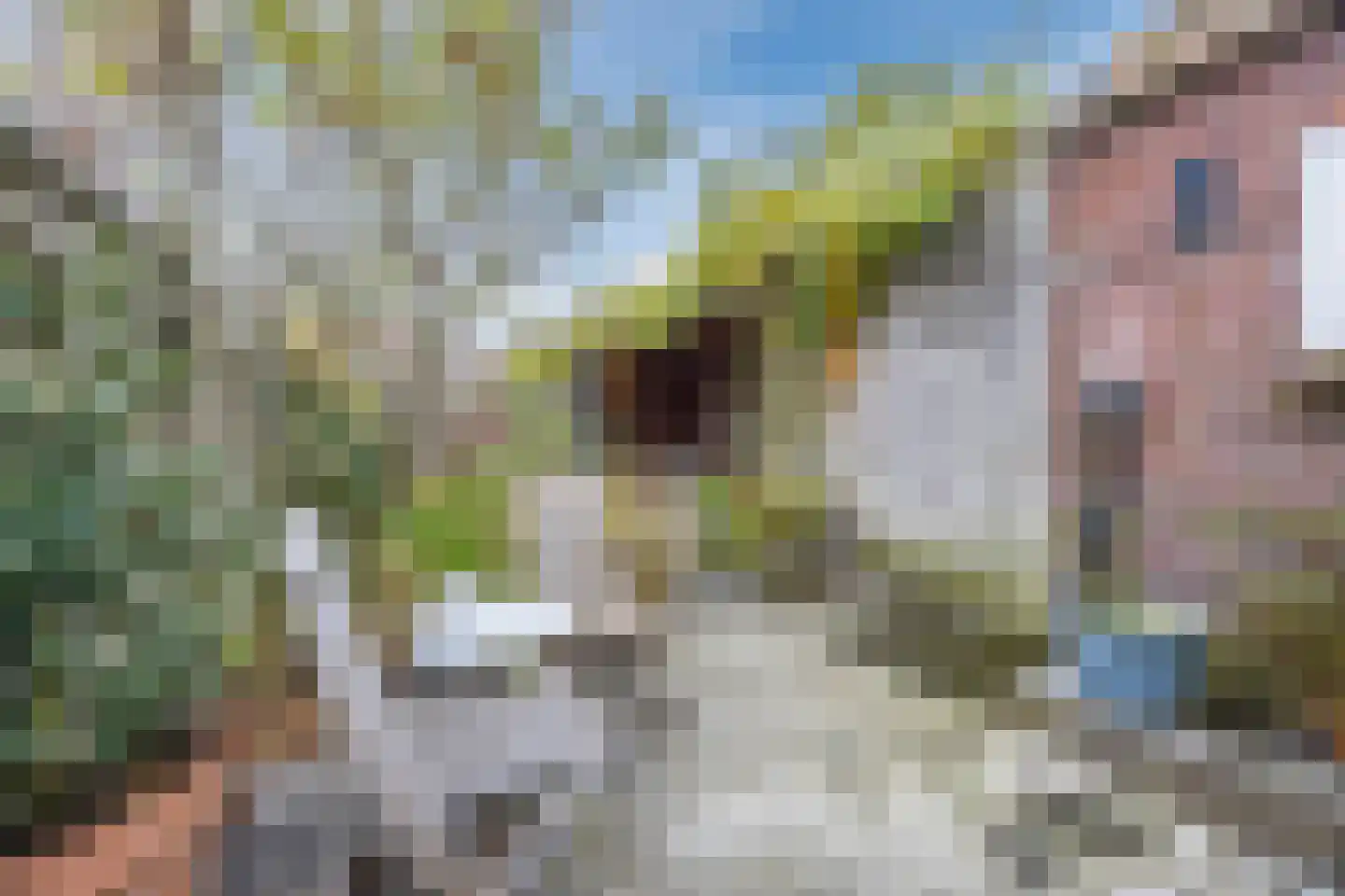 Azaleastraat 4 Eindhoven thumbnail 44