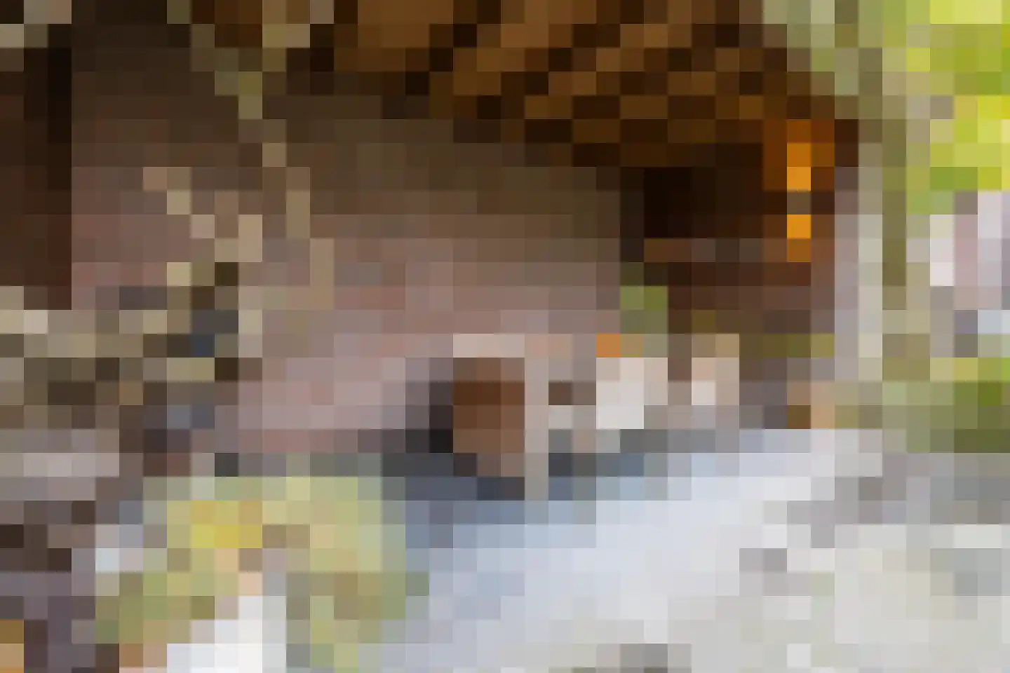 Azaleastraat 4 Eindhoven thumbnail 45
