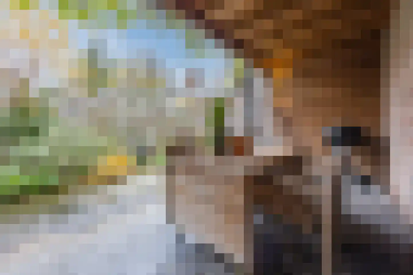 Azaleastraat 4 Eindhoven thumbnail 46