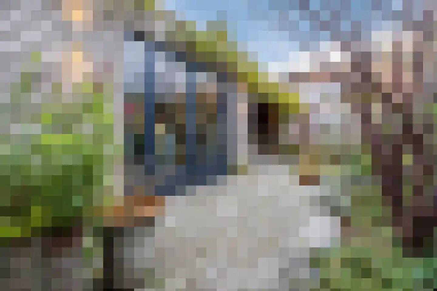 Azaleastraat 4 Eindhoven thumbnail 47