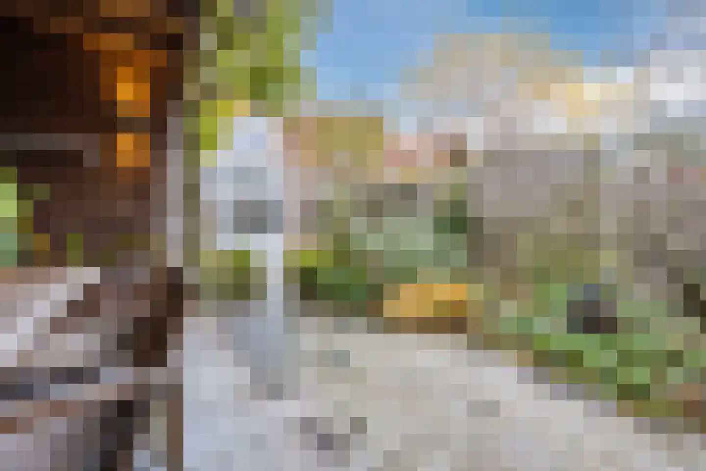 Azaleastraat 4 Eindhoven thumbnail 49