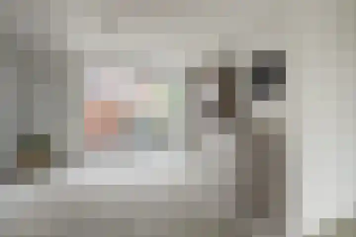 Azaleastraat 43 Terneuzen thumbnail 10