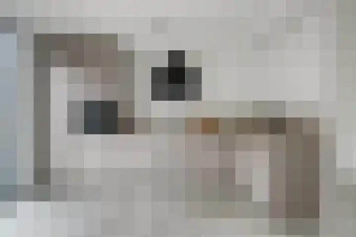 Azaleastraat 43 Terneuzen thumbnail 11